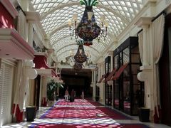 -拉斯维加斯永利酒店