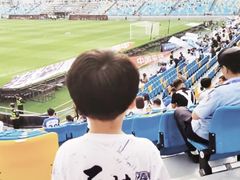 -泰达足球场
