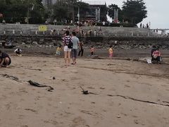 -海沧湾公园
