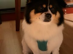 -学子推拿(苏果店)