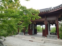 -上海滨江森林公园