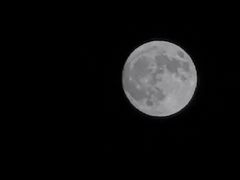 -柳莺湖上·湖景餐厅·江南菜(西湖店)