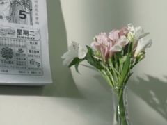-斑马飞扬传媒·企业影视制作服务商(北京店)