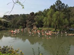 -宁波野生动物园