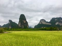 -明仕田园