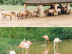 -杭州野生动物世界