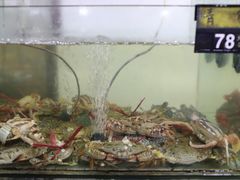 炒药蟹-岛中岛·海鲜大排档·万宁老字号(东澳店)
