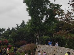 -铁山坪森林公园