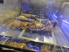 -太平洋海底世界