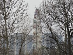 -洋湖国家湿地公园