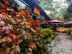 -三嚥阁 La Villa Restaurant