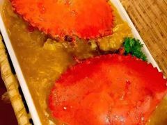 -茉莉.Red Crab