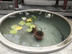 -龙潭水乡