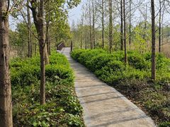 -同里国家湿地公园