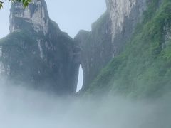 -张家界天门山国家森林公园