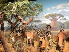 -陕西自然博物馆