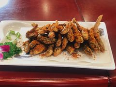 -胖大姐黄辣丁鱼庄(新津店)