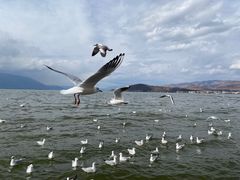 -小普陀