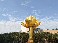 -金莲花广场