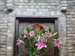 -陈麻婆豆腐(旗舰店)