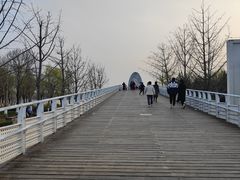 -大兴滨河森林公园