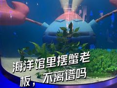 -大连圣亚海洋世界