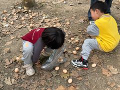 -北京市丰台区阳光起点锦城幼儿园(丰台园)