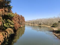 -上海海湾国家森林公园