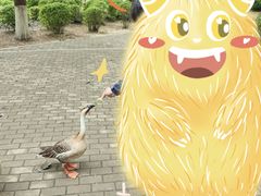-沈阳鸟岛