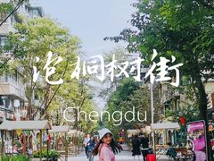 -泡桐树街