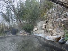 -徂徕山森林康养度假谷温泉