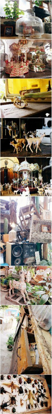 -懒鱼时光馆(沙坪坝店)