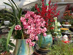 -龙大花卉苗木市场