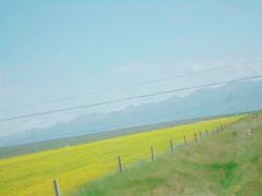 -青海湖国家重点风景名胜区