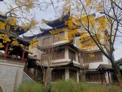 -龙潭水乡