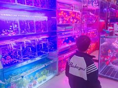 -花鸟鱼虫鲜花绿植市场(玉泉路店)
