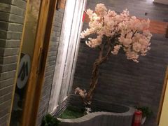 -迈格笙SPA·影院式足道·采耳(金桥店)