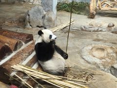 -海南热带野生动植物园