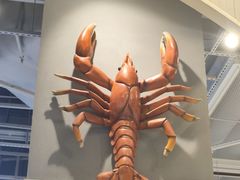 -盒马鲜生(双清路店)
