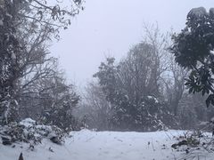 -树山生态村