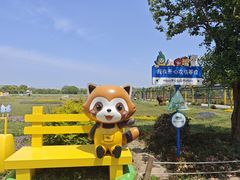 -苏州太湖西山岛开心农场