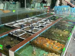 -景好海鲜餐厅(大鹏必选旅游店)