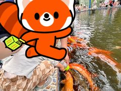 -南湖梦幻岛