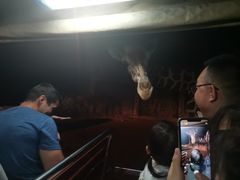 -清迈夜间动物园