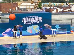 -秦皇岛乐岛海洋王国