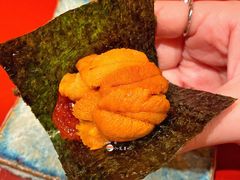 马粪海胆-橼舍鮨青木