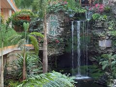 -广州白天鹅宾馆