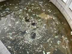 -大理文庙(大理古城)