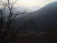 -Local泰莲庭(虹鳟鱼店)