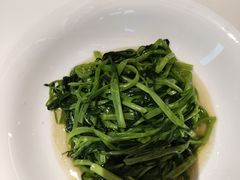 -谭厨中山传家菜.乳鸽.脆鲩鱼(华强北中航城店)